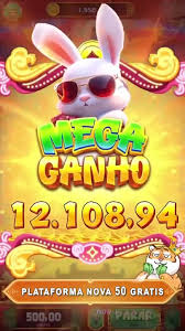 horario rabbit fortune